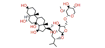 Mediasteroside M1